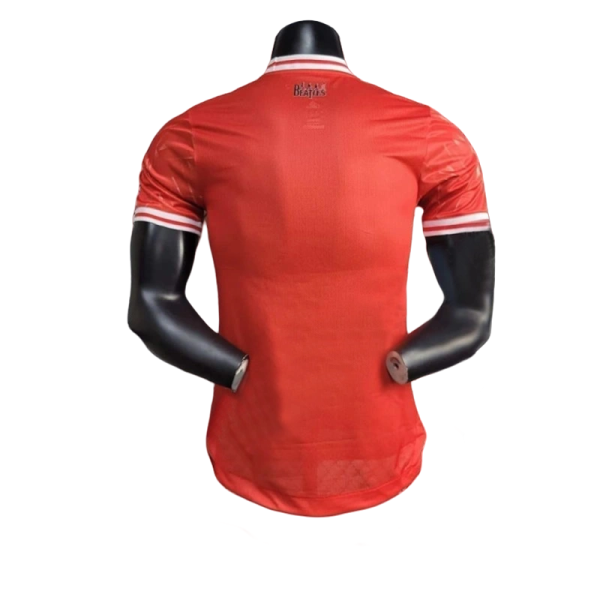 24-25 Player Version Liverpool Joint Edition Football Shirt - Image 2
