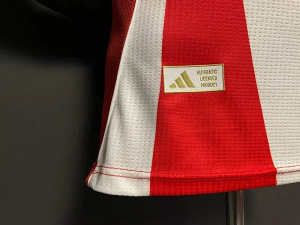 2025/2026 Player Edition Bayern Away Football Jersey - Image 9