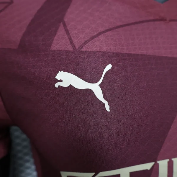 Manchester City Third Jersey Player Version 2024-25 - Image 3
