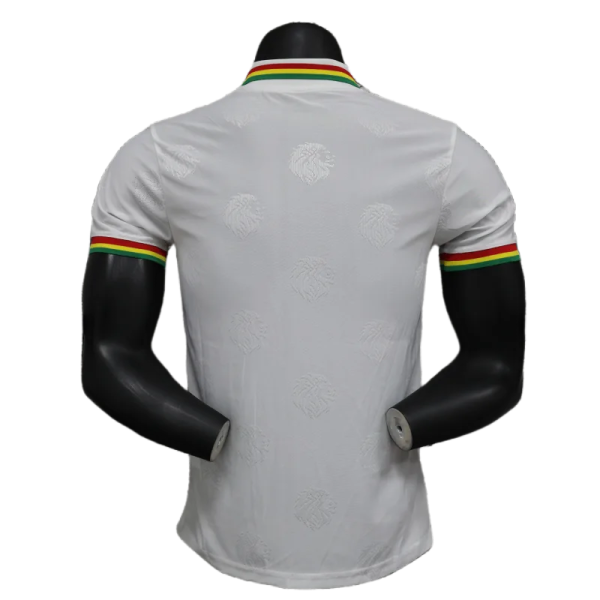 2024/2025 Senegal Special Edition Senegal Football Jersey for Players - Image 2