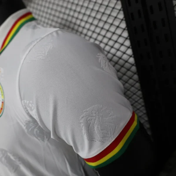2024/2025 Senegal Special Edition Senegal Football Jersey for Players - Image 6