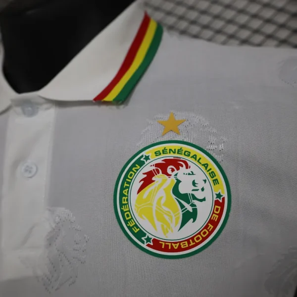 2024/2025 Senegal Special Edition Senegal Football Jersey for Players - Image 5