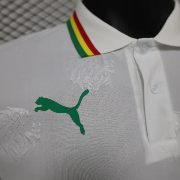 2024/2025 Senegal Special Edition Senegal Football Jersey for Players - Image 4