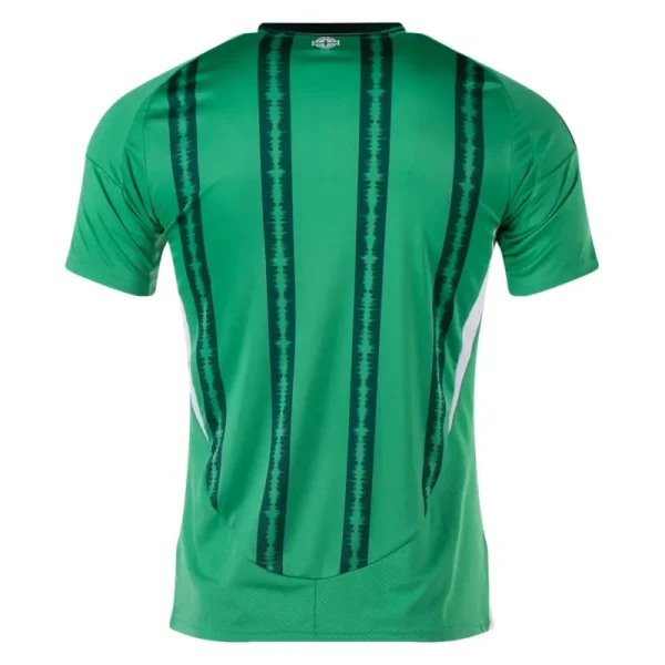 Northern Ireland Home Jersey 2024 - Image 2