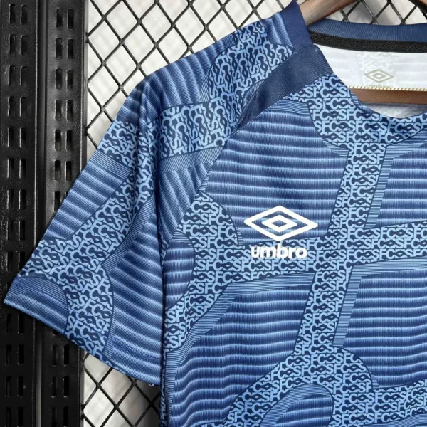 Santos Training Shirt Soccer Jersey 24-25 - Image 3