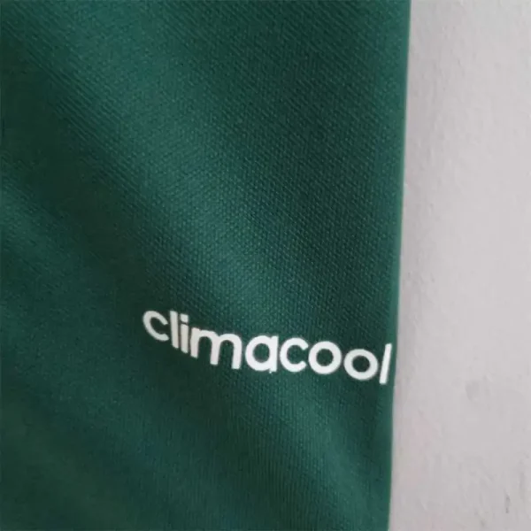Palmeiras 100th Anniversary 2014/15 Retro Jersey - Image 7
